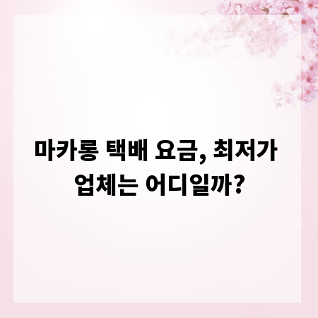 마카롱 택배 요금, 최저가 업체는 어디일까?
