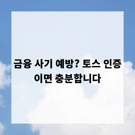 금융 사기 예방? 토스 인증이면 충분합니다