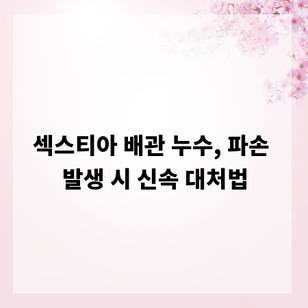 섹스티아 배관 누수, 파손 발생 시 신속 대처법
