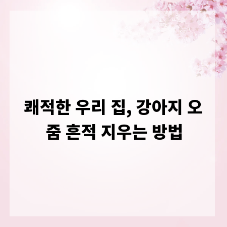 쾌적한 우리 집, 강아지 오줌 흔적 지우는 방법