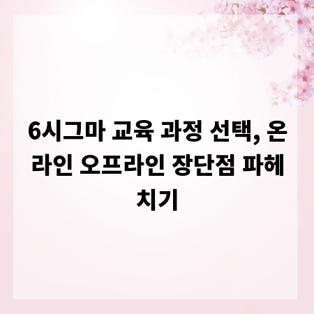 6시그마 교육 과정 선택, 온라인 오프라인 장단점 파헤치기