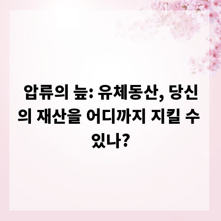 압류의 늪: 유체동산, 당신의 재산을 어디까지 지킬 수 있나?