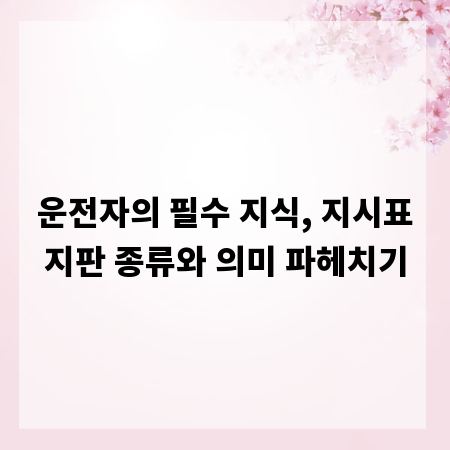 운전자의 필수 지식, 지시표지판 종류와 의미 파헤치기