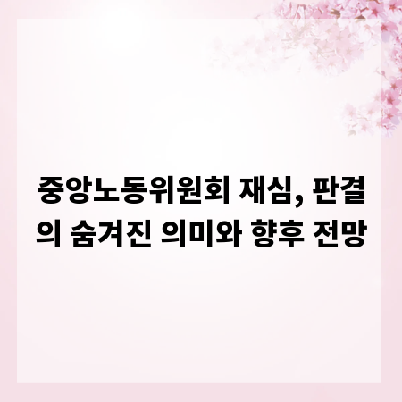 중앙노동위원회 재심, 판결의 숨겨진 의미와 향후 전망