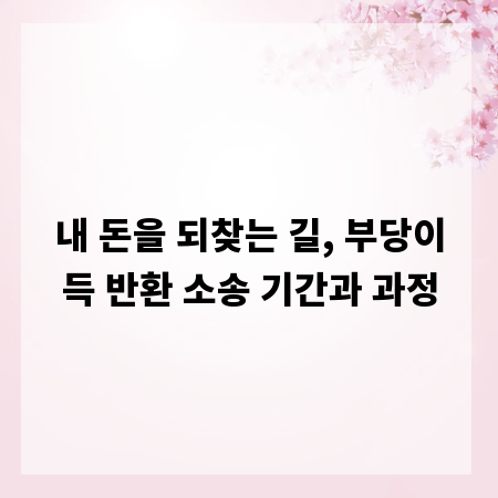 내 돈을 되찾는 길, 부당이득 반환 소송 기간과 과정