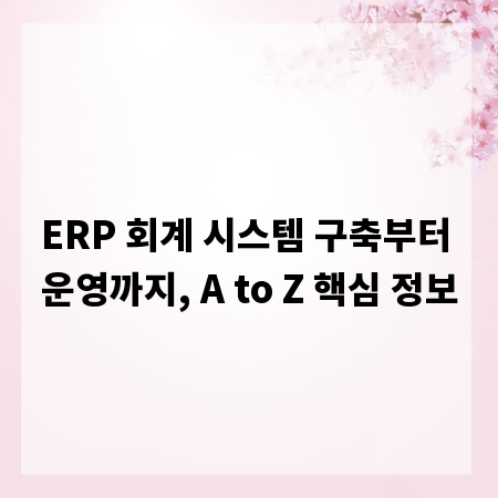 ERP 회계 시스템 구축부터 운영까지, A to Z 핵심 정보
