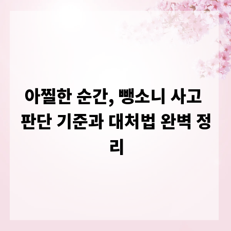 아찔한 순간, 뺑소니 사고 판단 기준과 대처법 완벽 정리