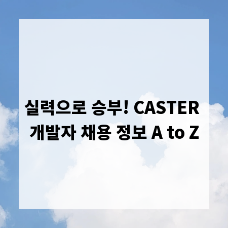실력으로 승부! CASTER 개발자 채용 정보 A to Z
