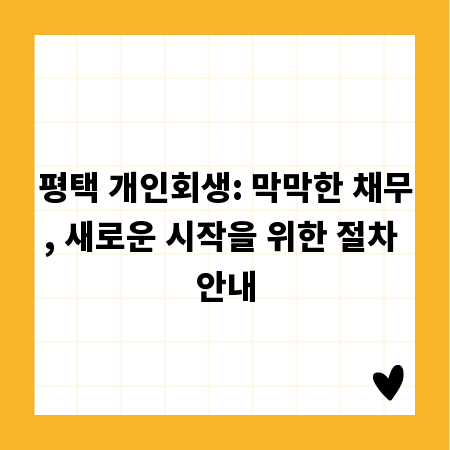 평택 개인회생: 막막한 채무, 새로운 시작을 위한 절차 안내