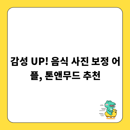 감성 UP! 음식 사진 보정 어플, 톤앤무드 추천