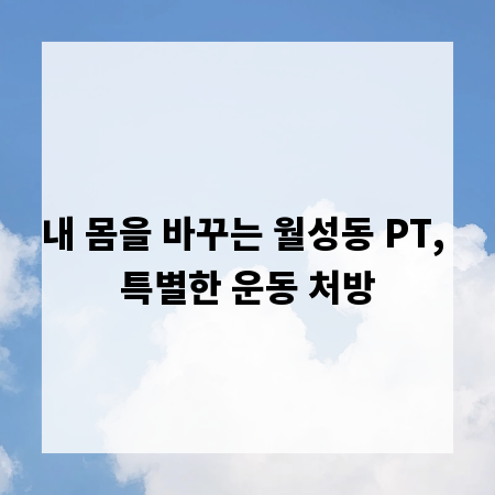 내 몸을 바꾸는 월성동 PT, 특별한 운동 처방