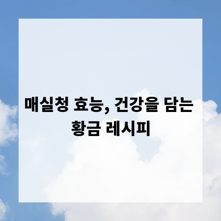 매실청 효능, 건강을 담는 황금 레시피