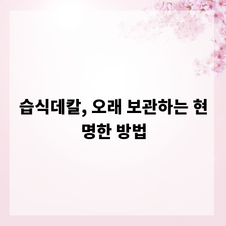 습식데칼, 오래 보관하는 현명한 방법
