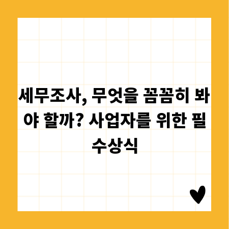 세무조사, 무엇을 꼼꼼히 봐야 할까? 사업자를 위한 필수상식