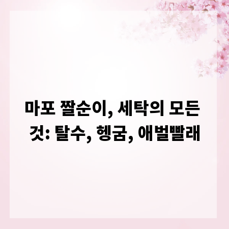 마포 짤순이, 세탁의 모든 것: 탈수, 헹굼, 애벌빨래