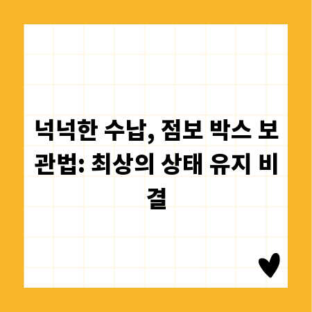 점보 박스 사용법: 오래 두고 쓰려면 꼭 알아야 할 관리 팁