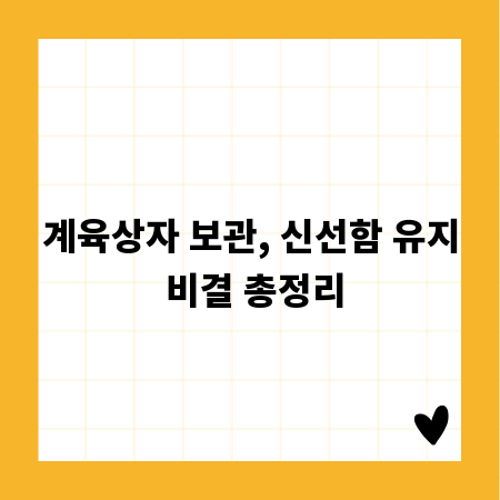 계육상자 보관, 신선함 유지 비결 총정리