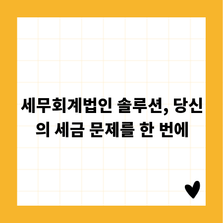 세무회계법인 솔루션, 당신의 세금 문제를 한 번에