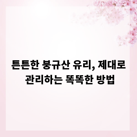 튼튼한 붕규산 유리, 제대로 관리하는 똑똑한 방법