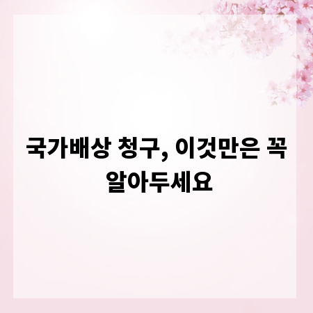 국가배상 청구, 이것만은 꼭 알아두세요