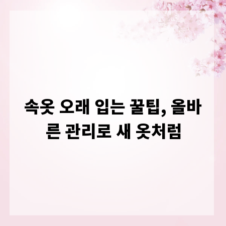 속옷 오래 입는 꿀팁, 올바른 관리로 새 옷처럼