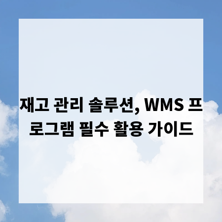 재고 관리 솔루션, WMS 프로그램 필수 활용 가이드