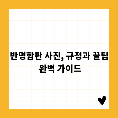 반명함판 사진, 규정과 꿀팁 완벽 가이드