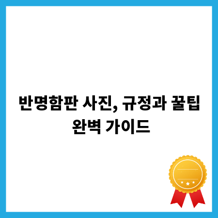 반명함판 사진, 규정과 꿀팁 완벽 가이드