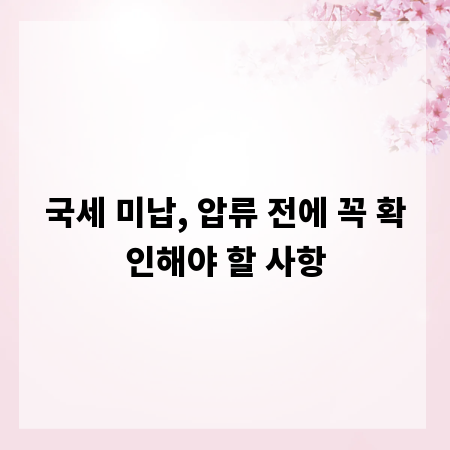 국세 미납, 압류 전에 꼭 확인해야 할 사항