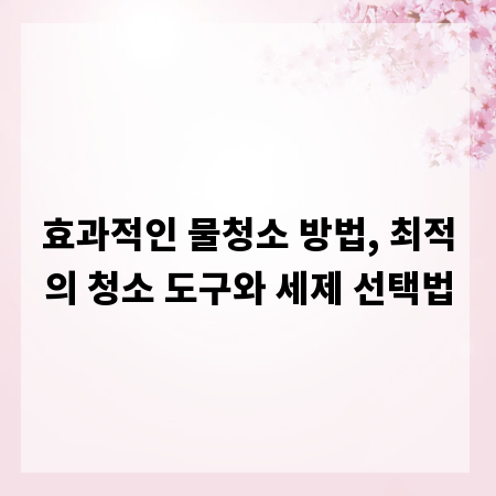 효과적인 물청소 방법, 최적의 청소 도구와 세제 선택법
