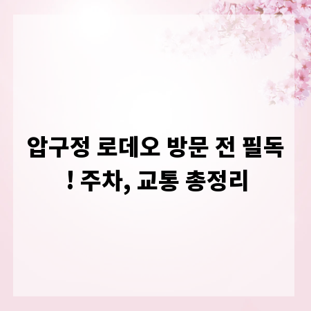 압구정 로데오 방문 전 필독! 주차, 교통 총정리