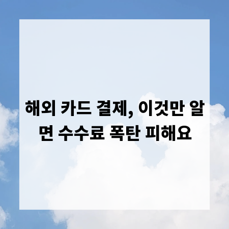 해외 카드 결제, 이것만 알면 수수료 폭탄 피해요