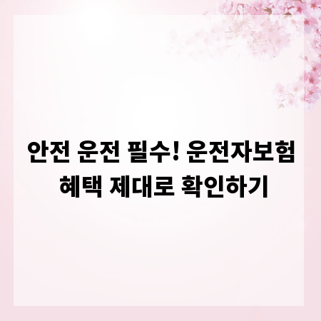 안전 운전 필수! 운전자보험 혜택 제대로 확인하기