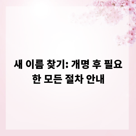새 이름 찾기: 개명 후 필요한 모든 절차 안내