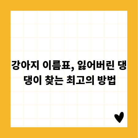 강아지 이름표, 잃어버린 댕댕이 찾는 최고의 방법
