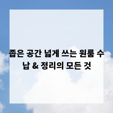 좁은 공간 넓게 쓰는 원룸 수납 & 정리의 모든 것