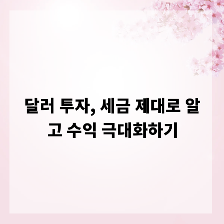 달러 투자, 세금 제대로 알고 수익 극대화하기