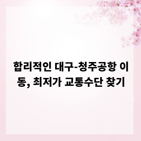합리적인 대구-청주공항 이동, 최저가 교통수단 찾기