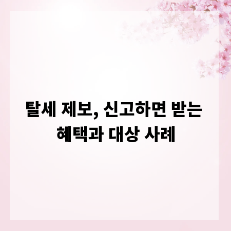 탈세 제보, 신고하면 받는 혜택과 대상 사례