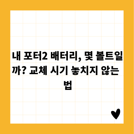 내 포터2 배터리, 몇 볼트일까? 교체 시기 놓치지 않는 법