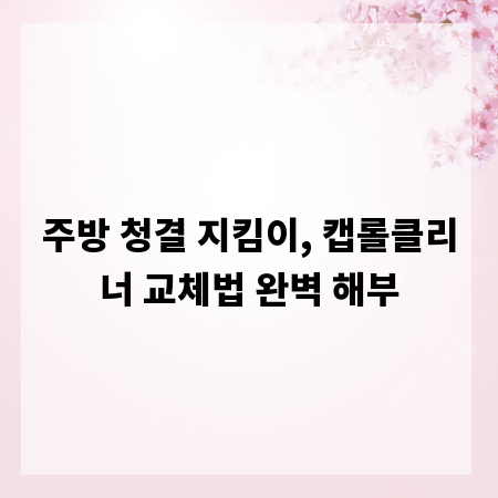 주방 청결 지킴이, 캡롤클리너 교체법 완벽 해부