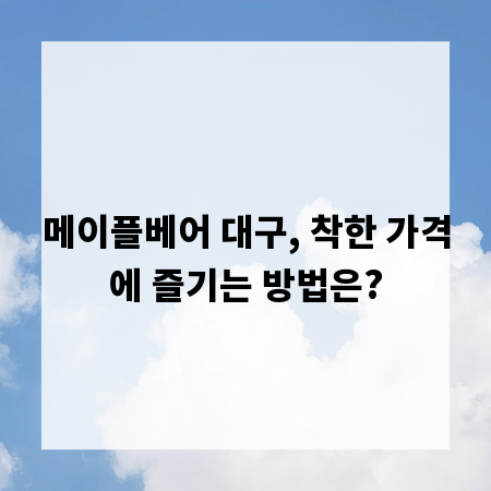 메이플베어 대구, 착한 가격에 즐기는 방법은?