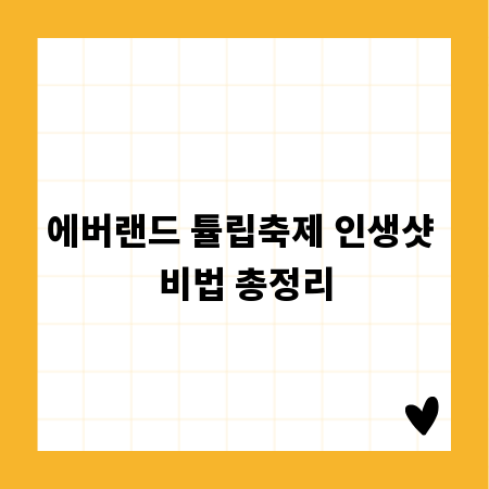 에버랜드 튤립축제 인생샷 비법 총정리
