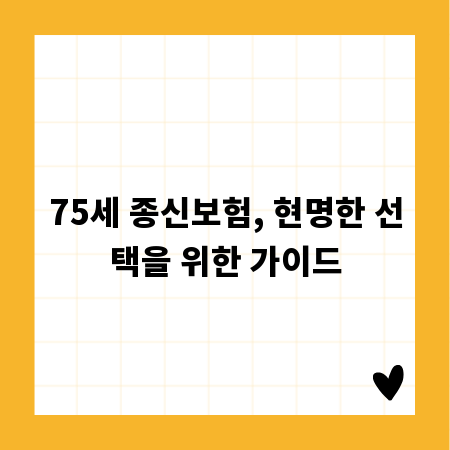 75세 종신보험, 현명한 선택을 위한 가이드