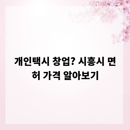 개인택시 창업? 시흥시 면허 가격 알아보기