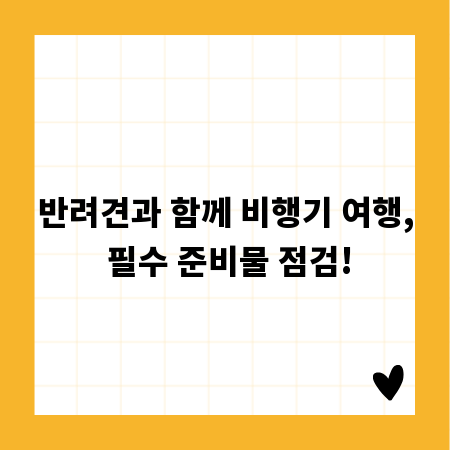 반려견과 함께 비행기 여행, 필수 준비물 점검!