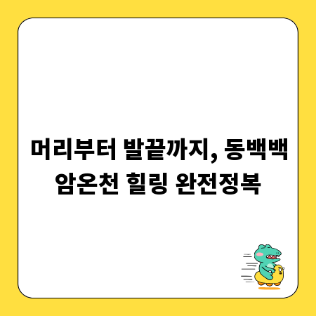 머리부터 발끝까지, 동백백암온천 힐링 완전정복