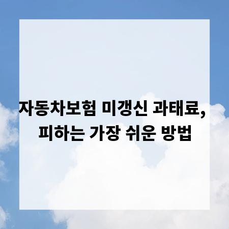 자동차보험 미갱신 과태료, 피하는 가장 쉬운 방법