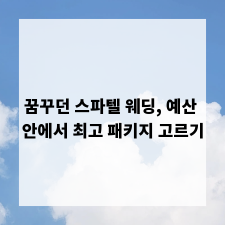 꿈꾸던 스파텔 웨딩, 예산 안에서 최고 패키지 고르기