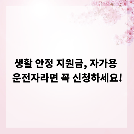 생활 안정 지원금, 자가용 운전자라면 꼭 신청하세요!